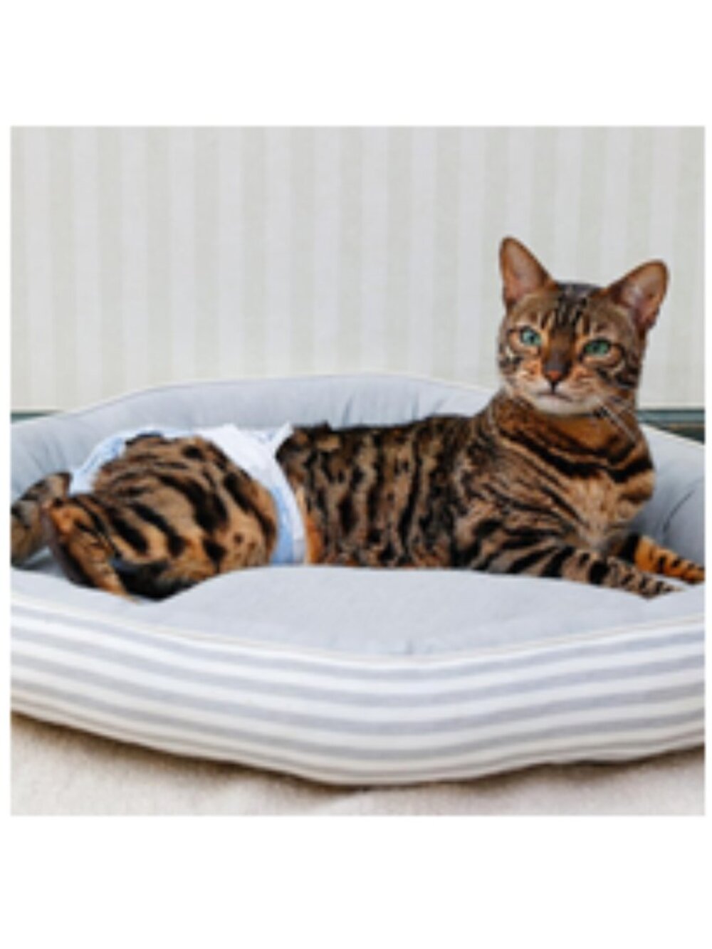 NWT ~ 2 Packages of Hartz Comfitables Cat Disposable Diapers, Size S, 7-11 lbs. - Picture 8 of 14